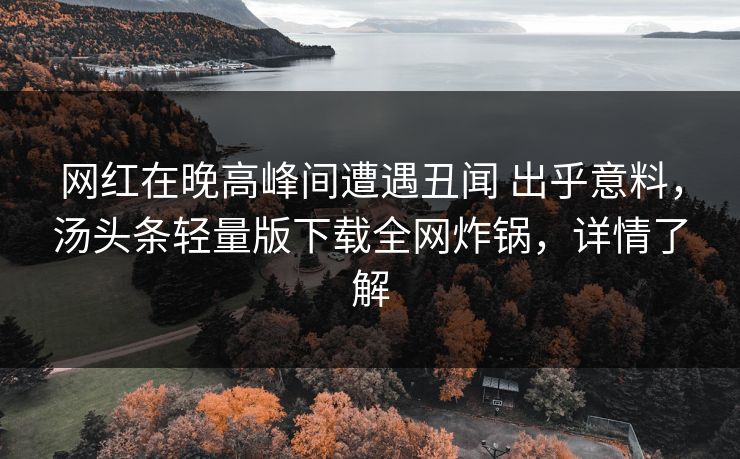 网红在晚高峰间遭遇丑闻 出乎意料，汤头条轻量版下载全网炸锅，详情了解