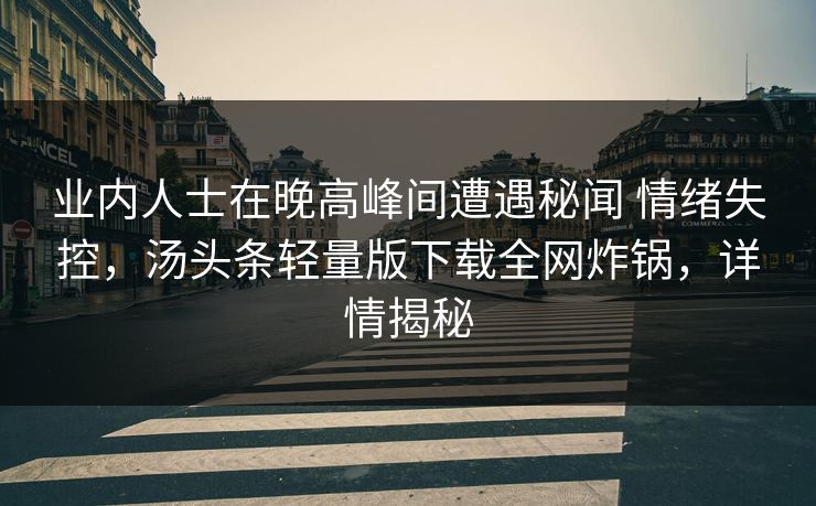 业内人士在晚高峰间遭遇秘闻 情绪失控，汤头条轻量版下载全网炸锅，详情揭秘