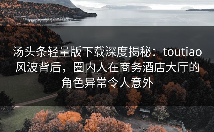 汤头条轻量版下载深度揭秘：toutiao风波背后，圈内人在商务酒店大厅的角色异常令人意外